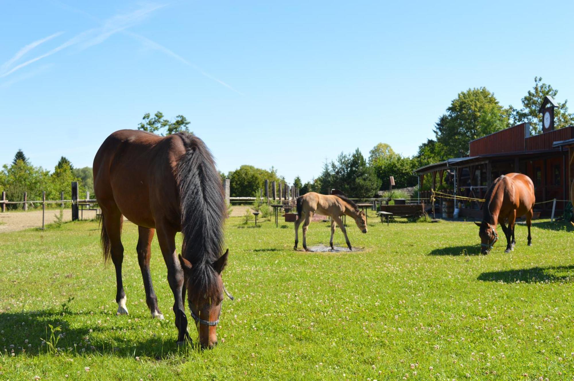 Bubla City Ranch Копржівніце Екстер'єр фото